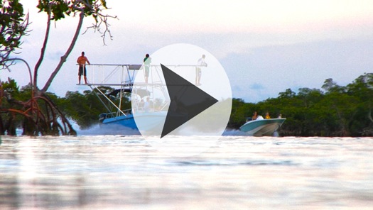 Photoboat button