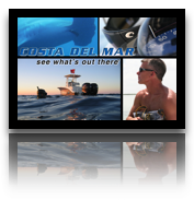 collage image title