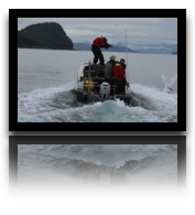 collage image title