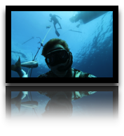 collage image title