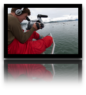 collage image title