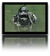 collage image title
