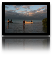 collage image title